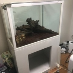 （値下げ）金曜日までに取りに来ていただける方　アクリル水槽　オー...