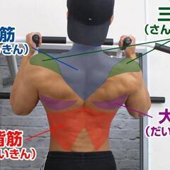 無料で、お譲りします!　どこでもマッチョ（旧タイプ）引き取りに来てくれる方！無料で差し上げます！の画像