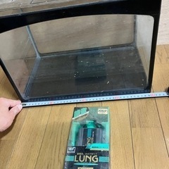 水槽　メダカ　金魚の画像