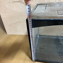水槽　メダカ　金魚の画像