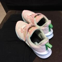 スニーカー👟の画像