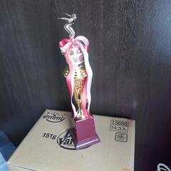 トロフィー水泳