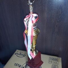 トロフィー水泳の画像