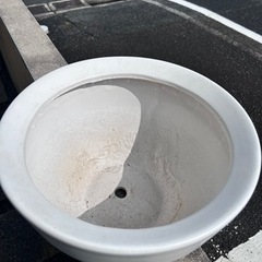 鉢　の画像