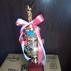 トロフィー水泳