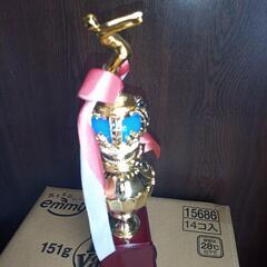 トロフィー水泳の画像