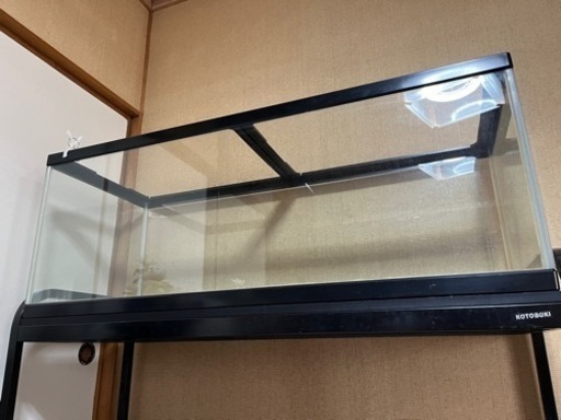 大きめな水槽