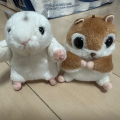 ぬいぐるみの画像