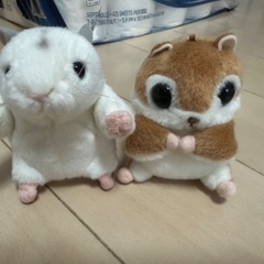 ぬいぐるみの画像