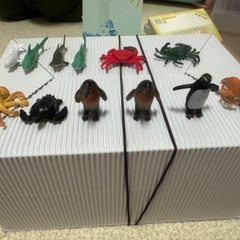 輪投げ&砂場セットの画像