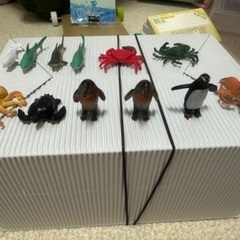 輪投げ&砂場セットの画像