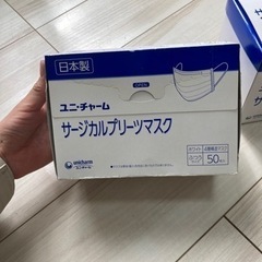 【受渡決定済み】【本日か明日、受取り希望】プリーツマスク　100枚の画像