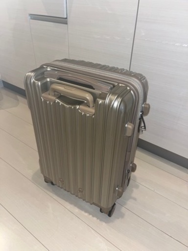 35〜40lキャリーバック
