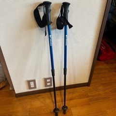 【受け渡し予定者あり】コロンビア　Colombia トレッキングポール　登山　杖の画像