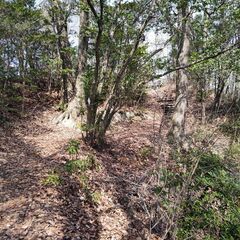 草津市唯一の山　「牟礼山」ウォーキング - その他
