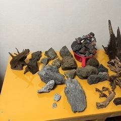 水槽レイアウト