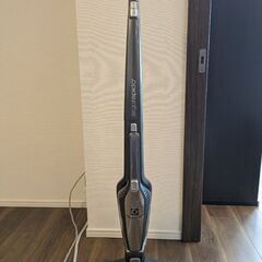 エルゴラピート リチウムZB3113AKB