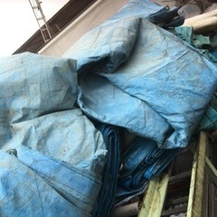 ブルーシートあげます♪