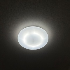 シーリング　リモコン付き