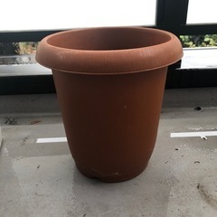 大きめのプラスチック鉢