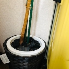 家具 インテリア雑貨/小物 置物、オブジェの画像