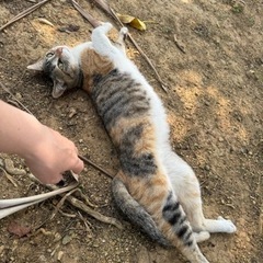 物置探してます！