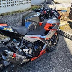 Ninjaの画像