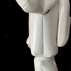 Honda ASIMO 着ぐるみの画像
