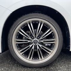 ロクサーニEXマトリックスJR