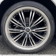 ロクサーニEX マトリックスジュニア 20㌅