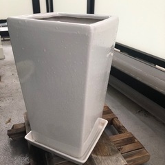 ガーデニング　　大きい白い陶器の鉢