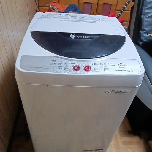 家電 生活家電 洗濯機