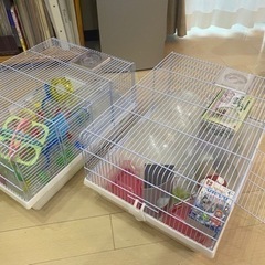 ハムスターのケージ　【2セットあります】