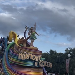 ディズニー好きな方友達なりませんか✨🏰