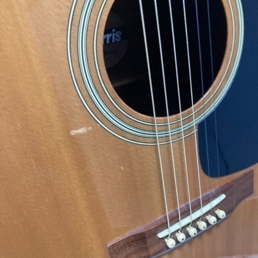 Morris MD-502 アコースティックギター