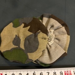 飾り物？の画像