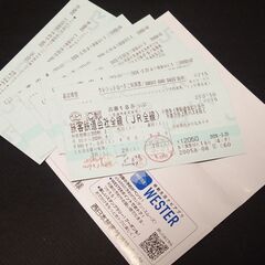 完売2024 春　１８切符　残り2回分　５０００円