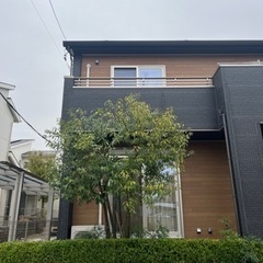 庭木の剪定、1本から承ります