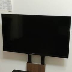 テレビ