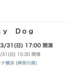 Saucy Dogチケット