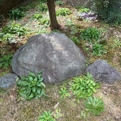 庭石