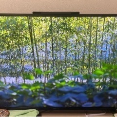 ハイセンス 43型 LED液晶 テレビ 外付けHDD