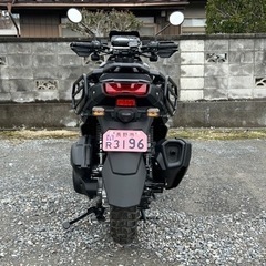 BW'S ビーウィズ 水冷 インポートモデル特別仕様車 日本未発売 希少の画像