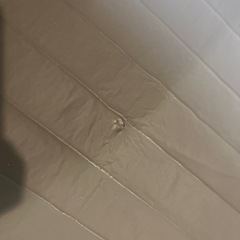パナソニック　電気かペット　(予約中)の画像