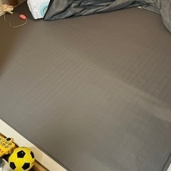 パナソニック　電気かペット　(予約中)の画像