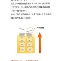 美容コスメの画像