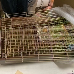 フェレット飼育セット(新品)
