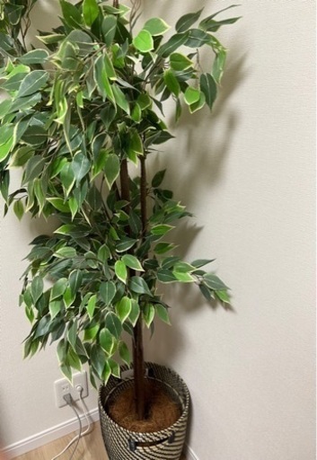 【超美品】ベンジャミン 造花 ツリー