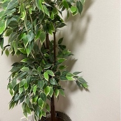 【超美品】ベンジャミン 造花 ツリー 
