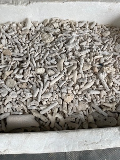 サンゴ石　サンゴ砂　ろ過剤まとめ売り